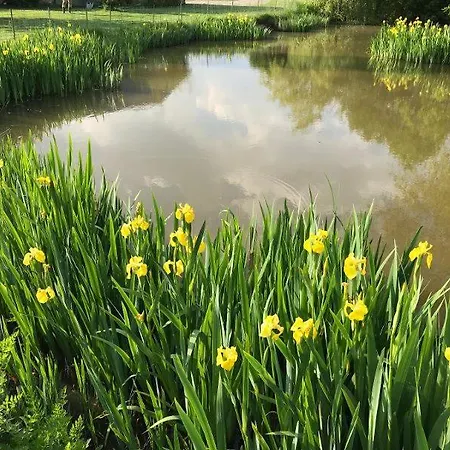 格兰德美因哥特住宿加早餐旅馆 3*