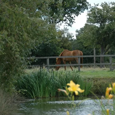 Grand Mainguet Bed and breakfast 3*