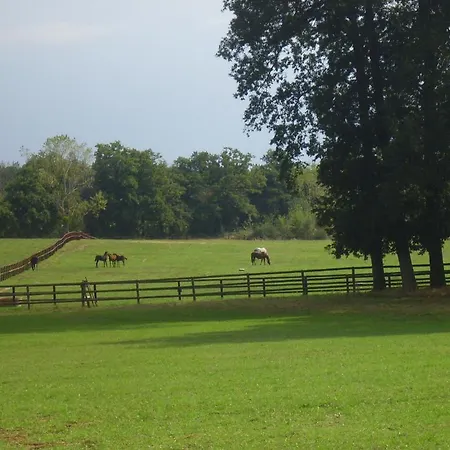 Bed and breakfast Grand Mainguet