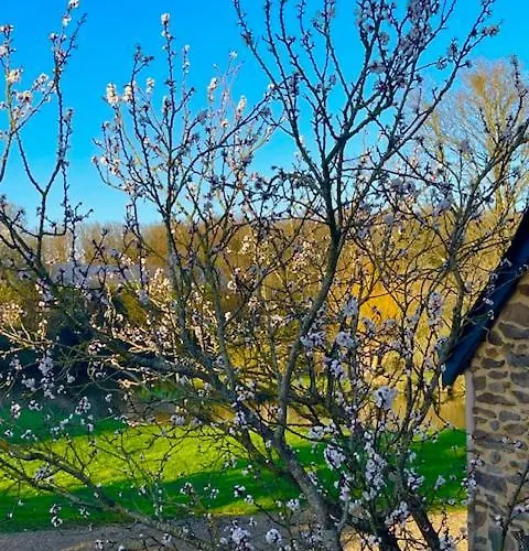 Bed & Breakfast Grand Mainguet Saint-Lambert-la-Potherie