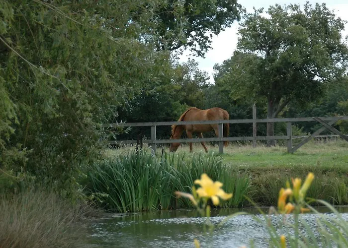 Grand Mainguet Alojamento de Acomodação e Pequeno-almoço 3*